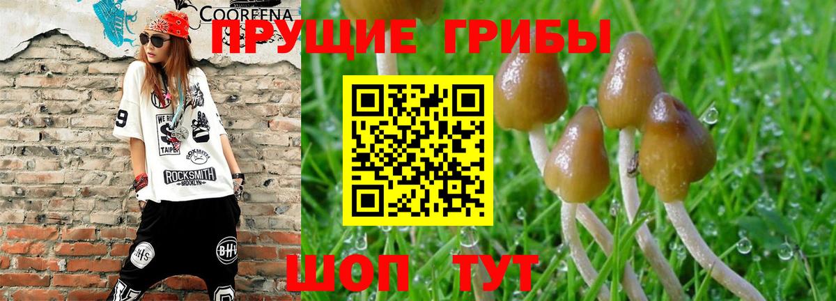 Псилоцибиновые грибы GOLDEN TEACHER  Вход с VPN  Рязань 